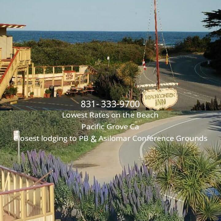 Beachcomber Inn แปซิฟิกโกรฟ ภายนอก รูปภาพ